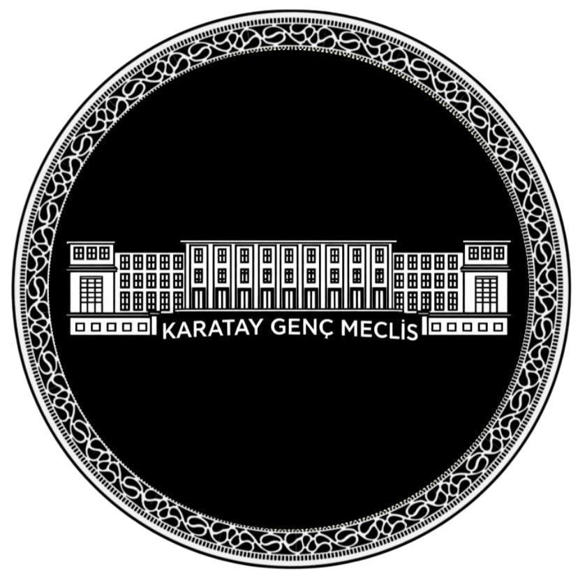 Genç Meclis Simülasyonu